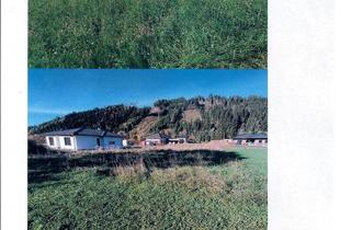 Grundstück zu kaufen in Eichbergsiedlung, 8720 Sankt Margarethen bei Knittelfeld, 8720 St. Margarethen/Knittelfeld – wunderschönes Baugrundstück