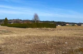 Grundstück zu kaufen in 8142 Zwaring, Ebenes Baugrundstück in Zwaring, sonnig und ruhig gelegen!