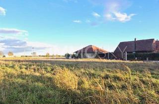 Grundstück zu kaufen in 4064 Oftering, HIER KÖNNTE IHR TRAUMHAUS STEHEN - VOLL AUFGESCHLOSSEN - KEIN BAUZWANG