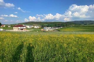 Grundstück zu kaufen in Rosenfeld 23, 3233 Kilb, Großzügiges Baugrundstück