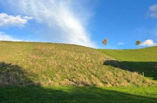 Grundstück zu kaufen in Kapellenstraße, 4663 Laakirchen, Großer sonniger Baugrund zwischen Gschwandt und Laakirchen