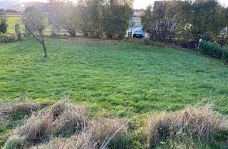 Grundstück zu kaufen in 4816 Gschwandt, Großer sonniger Baugrund bei Gschwandt