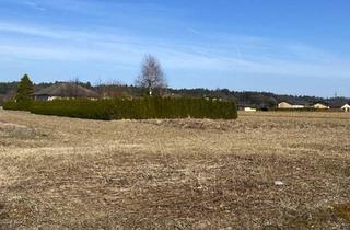 Grundstück zu kaufen in 8143 Dobl, Ebenes Baugrundstück in Zwaring, sonnig und ruhig gelegen!