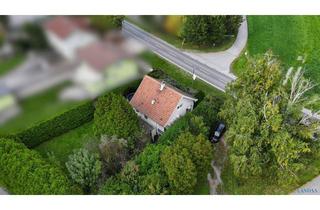 Einfamilienhaus kaufen in 2452 Wasenbruck, Einfamilienhaus im Grünen