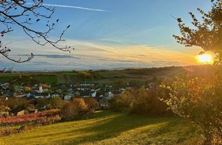 Einfamilienhaus kaufen in 2122 Münichsthal, Ihr neues Zuhause im Grünen - Einfamilienhaus mit viel Platz im Freien!