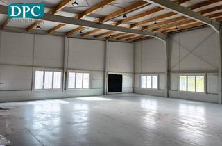 Gewerbeimmobilie kaufen in 2020 Hollabrunn, Industrieobjekt zum Kauf