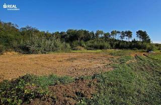 Grundstück zu kaufen in 7503 Großpetersdorf, 7503 Großpetersdorf - Top aktuelle Investition! Traumhafter Baugrund in ruhig gelegener Sackgasse