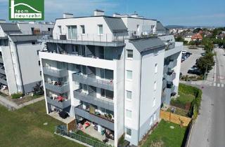 Wohnung mieten in Widerinstraße, 3100 Sankt Pölten, Wundervolle Dachgeschosswohnung mit großer Dachterrasse. - WOHNTRAUM