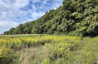 Grundstück zu kaufen in 8504 Preding, Sonniges Bauland mit Pläne und Baubewilligung!