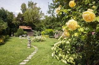 Einfamilienhaus kaufen in 2100 Korneuburg, Gepflegtes Einfamilienhaus mit traumhaftem Garten – eine Oase der Ruhe