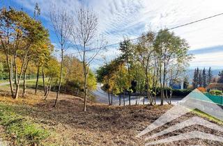 Grundstück zu kaufen in Im Holzgrund 17, 4048 Puchenau, Baugrund mit Südausrichtung am Pöstlingberg