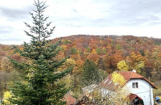 Grundstück zu kaufen in 3001 Mauerbach, WOHNEN IM GRÜNEN - SONNIGES GRUNDSTÜCK AM RANDE DES WIENERWALDES!