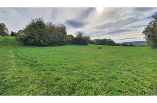 Grundstück zu kaufen in 7210 Mattersburg, Großzügiges Baugrundstück mit Grünland in Mattersburg