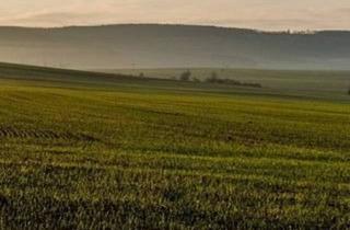 Grundstück zu kaufen in 6063 Rum, Gewerbegrundstück in der Nähe von Innsbruck zu verkaufen