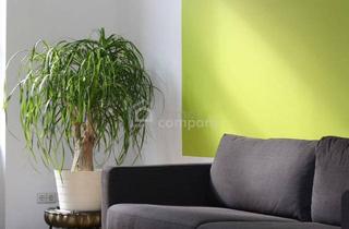 Wohnung mieten in 2700 Wiener Neustadt, URBANER LIFESTYLE - MODERNES WOHNEN - Mietwohnung mit Loggia