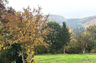 Einfamilienhaus kaufen in 2534 Alland, WOHNEN AM WIENERWALD - CHARMANTES EINFAMILIENHAUS