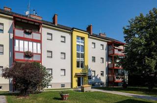 Wohnung mieten in Dr. Th. Körner-Straße 27, 2521 Trumau, Kleine aber feine Singlewohnung