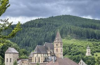 Wohnung mieten in 8790 Eisenerz, Frisch sanierte Familienwohnung mit Loggia!