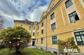 Wohnung kaufen in 4600 Wels, Single-Hit Wels/Neustadt