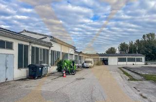 Geschäftslokal mieten in 4020 Linz, Lagerhalle mit idealer Anbindung in Linz zu vermieten!