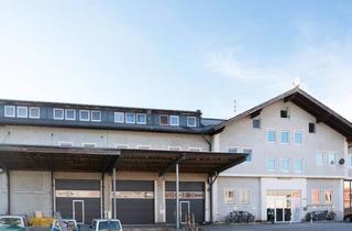 Lager mieten in Siggerwiesen, 5101 Bergheim, Vielseitige Geschäftsfläche in Bergheim/Siggerwiesen