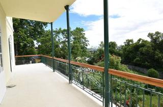 Büro zu mieten in 2540 Bad Vöslau, 156,71m² Büro mit Terrasse in der Rosenvilla!