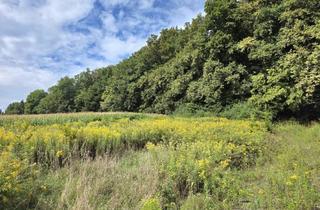 Grundstück zu kaufen in 8504 Grötsch, Sonniges Bauland mit Pläne und Baubewilligung!
