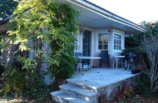 Haus kaufen in Hirtenberg, 2551 Enzesfeld-Lindabrunn, BUNGALOW INMITTEN DER VEGETATION IN RUHELAGE