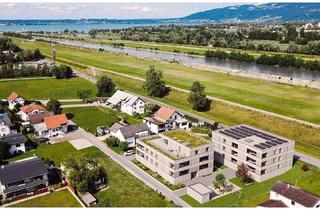 Wohnung kaufen in Seestraße 39, 6972 Fußach, 3-Zimmer Terrassenwohnung am Rheindamm (Top B04)