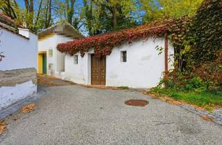 Gewerbeimmobilie kaufen in 2033 Kammersdorf, Ein Hauch Weinviertel – Weinkeller in Nappersdorf - Tauchen Sie ein in die unverwechselbare Atmosphäre des Weinviertels!