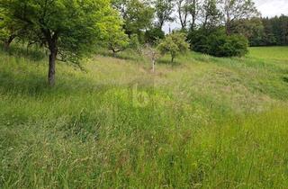 Grundstück zu kaufen in 9560 Feldkirchen in Kärnten, SEHR VIEL POTENTIAL