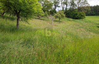 Grundstück zu kaufen in 9560 Feldkirchen in Kärnten, SEHR VIEL POTENTIAL