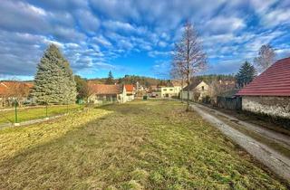 Grundstück zu kaufen in 2132 Hörersdorf, Großes Grundstück ohne Bauzwang!