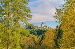 Haus kaufen in 3911 Rappottenstein, Zwischen Burgblick und Waldesruh – ein Zuhause mit Geschichte