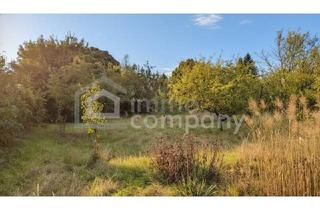 Grundstück zu kaufen in 2721 Bad Fischau, Wunderschönes Grundstück in bester Lage – vielseitig bebaubar mit zwei Wohneinheiten