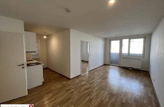 Wohnung mieten in Geiselbergstraße, 1110 Wien, AKTION - Erster Monat Mietfrei! 2 Zimmer Wohnung mit Balkon