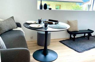 Wohnung mieten in 9800 Spittal an der Drau, Modernes, charmantes Single-Apartment in Spittal/Drau zu vermieten 30 m², vollmöbliert, verfügbar ab ca. 03. November