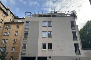 Wohnung mieten in Zeltgasse, 1080 Wien, Wunderschöne 2-Zimmer-Wohnung mit herrlicher Terrasse - in guter Lage des 8. Bezirks!