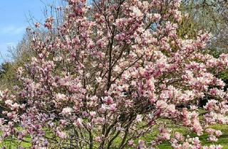 Villen zu kaufen in 2521 Trumau, SCHÖNER WOHNEN IN TRUMAU - TRAUMVILLA AUF 2500 m² IN TOPRUHELAGE MIT HIGH-TECH-KOMFORT