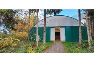 Lager mieten in Hallegger Straße 152c, 9061 Tultschnig, Rundbogenlagerhalle 925m² mit LKW-Zufahrt