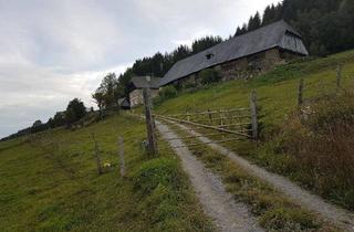 Bauernhäuser zu kaufen in 8832 Hinterburg, Idyllischer Berghof in bester Lage im Murtal