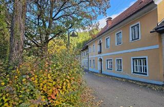 Haus kaufen in 8762 Oberzeiring, Historisches Juwel im Luftkurort - Willkommen in einer Energieoase mit Charme