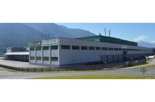 Büro zu mieten in 9800 Spittal an der Drau, GELO Spittal - Gewerbe & Logistikpark