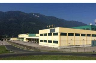 Büro zu mieten in 9800 Spittal an der Drau, GELO Spittal - Gewerbe & Logistikpark