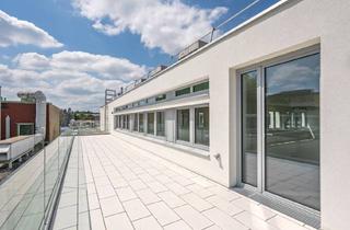 Büro zu mieten in 1130 Wien, Erstbezug: Moderne Bürofläche in Hietzinger Bestlage