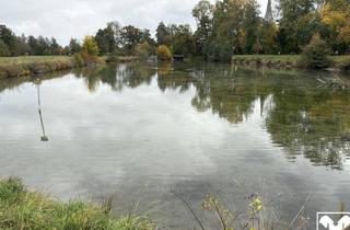 Grundstück zu kaufen in 5280 Braunau am Inn, Acker, Wiese, Weiher