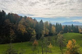 Wohnung mieten in 6858 Bildstein, Für Naturliebhaber - ruhige 2,5 Zimmerwohnung mit wunderschöner Aussicht