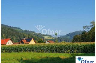 Gewerbeimmobilie kaufen in 8572 Bärnbach, Gut bearbeitbares Ackergrundstück in Bärnbach