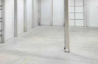 Gewerbeimmobilie mieten in 2282 Markgrafneusiedl, Moderne Lagerfläche ideal für ruhige Paletteneinlagerung