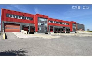 Büro zu mieten in 1300 Mannswörth, Logistikobjekt direkt am Flughafen Wien